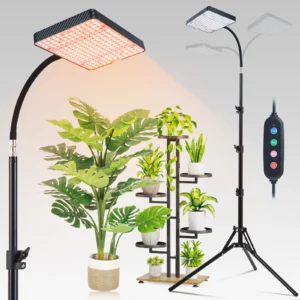 Grow Lights with Stand and Timer
